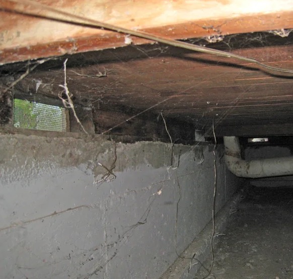 Water Extraction Services in Cincinnati, OH