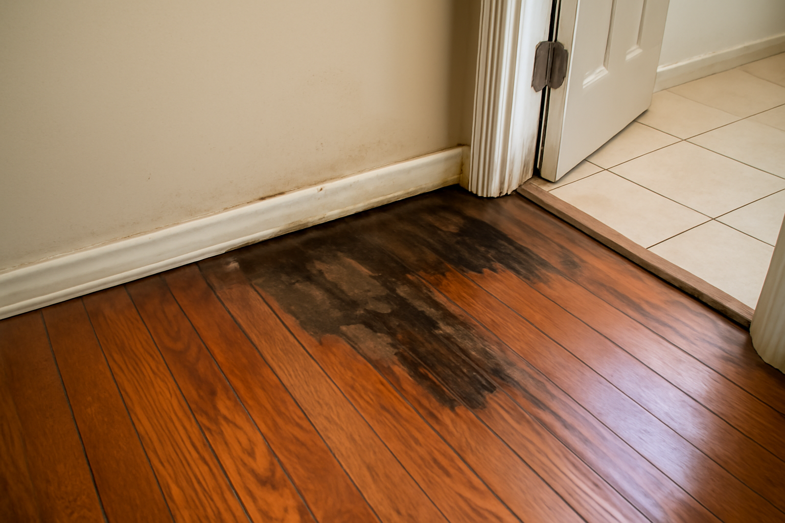 Hardwood Floor Water Damage Repair in Mount Carmel, OH